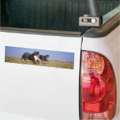 Berner Hundegruppe zweite Autoaufkleber (Auf Lkw)