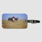 Berner Hundegruppe zweite Gepäckanhänger (Vorderseite (Horizontal))