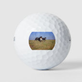 Berner Hundegruppe zweite Golfball (Vorderseite)