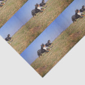 Berner Hundegruppe zweite Seidenpapier (Ausschnitt)