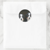 Berner Hundehund-Aufkleber Runder Aufkleber (Tasche)