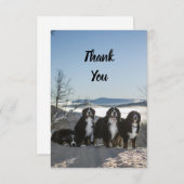 Berner Hundengruppe Dankeskarte (Vorne/Hinten)