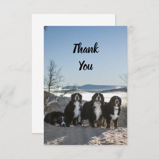 Berner Hundengruppe Dankeskarte (Vorne/Hinten)