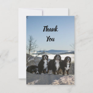 Berner Hundengruppe Dankeskarte