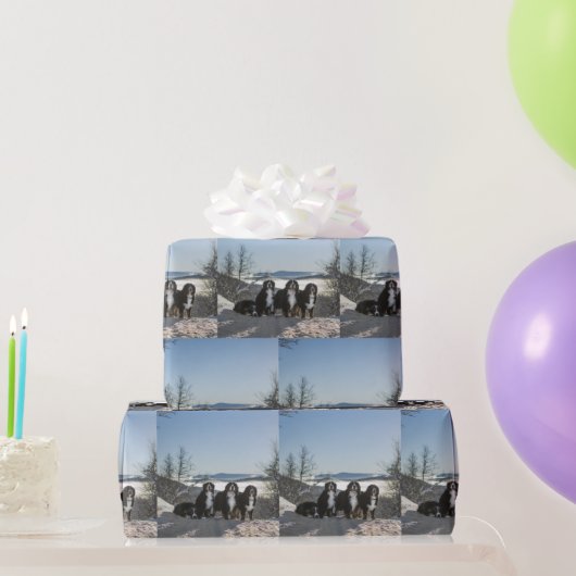 Berner Hundengruppe Geschenkpapier (Partygeschenke)