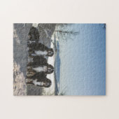Berner Hundengruppe Puzzle (Horizontal)