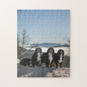 Berner Hundengruppe Puzzle