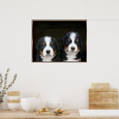 Berner Hundeposter Poster (Küche)