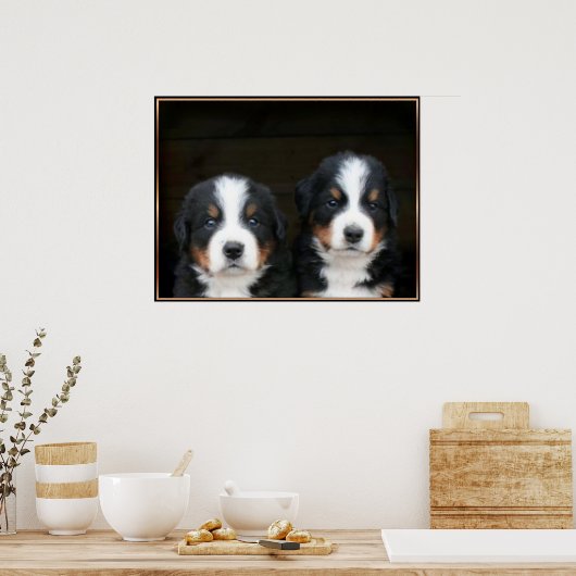Berner Hundeposter Poster (Küche)