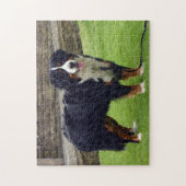 Berner Hundepuzzle Puzzle (Vertikal)
