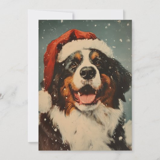 Berner Hundeschlitten Feiertagskarte (Vorderseite)