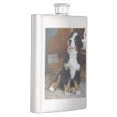 Berner Hundewelpe Flachmann (Rechts)