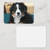 Berner Hundewelpe Visitenkarte (Vorne/Hinten)