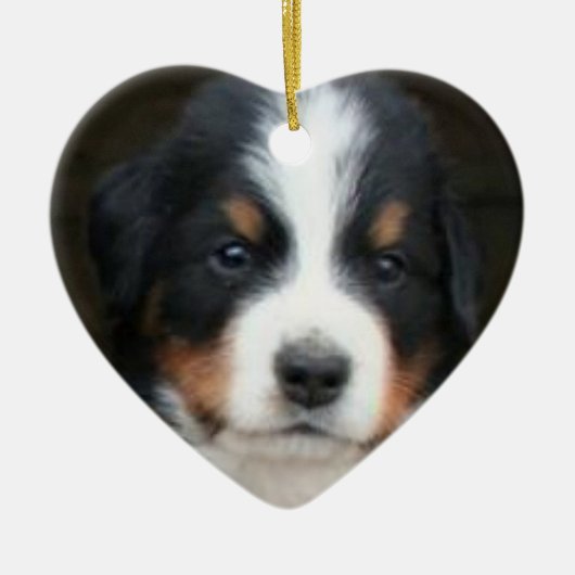 Berner Hundewelpen Keramikornament (Vorne)