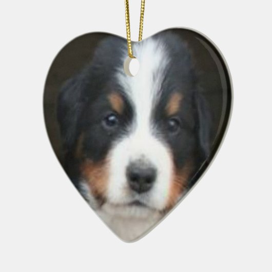 Berner Hundewelpen Keramikornament (Links)