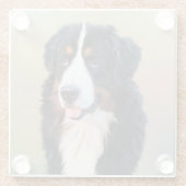 Berner Hundkunst Glasuntersetzer (Rückseite)