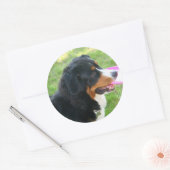 Berner mit Frisbee Runder Aufkleber (Umschlag)