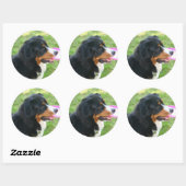Berner mit Frisbee Runder Aufkleber (Blatt)