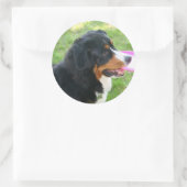 Berner mit Frisbee Runder Aufkleber (Tasche)