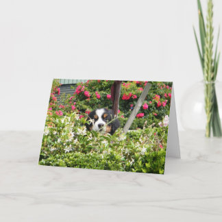 Berner Nation Grußkarte Feiertagskarte