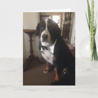 Berner Nations-Grußkarte Feiertagskarte