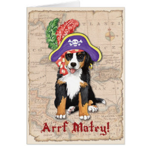 Berner Pirate