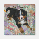 Berner Puppy Liebe Magnet (Vorne)