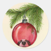 Berner Reflection Aufkleber (Vorderseite)