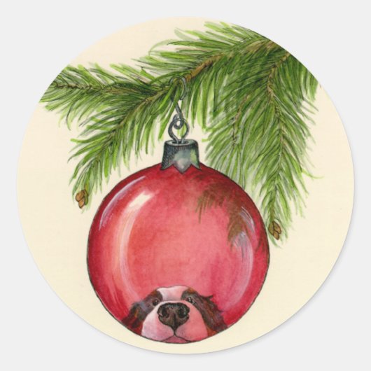 Berner Reflection Aufkleber (Vorderseite)