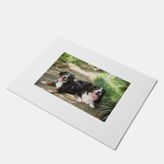 Berner-Rostgruppe Fußmatte (Schrägansicht)