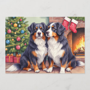 Berner Sennen Weihnachtskarte Feiertagskarte