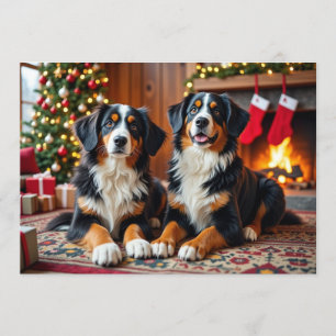 Berner Sennen Weihnachtskarte Feiertagskarte