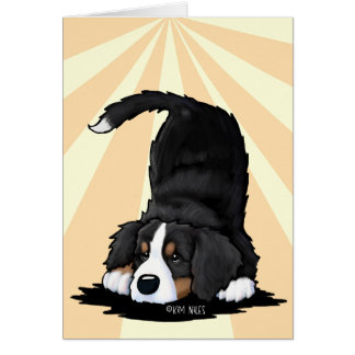 Berner Sennenhund
