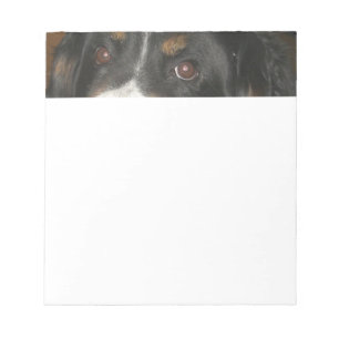 Berner Sennenhund Augen Notizblock