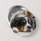 Berner Sennenhund Button (Vorne & Hinten)