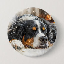 Berner Sennenhund