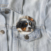Berner Sennenhund Button (Beispiel)