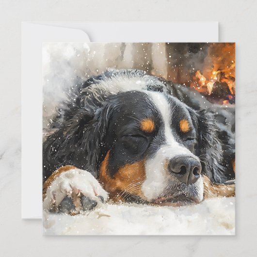 Berner Sennenhund Dankeskarte (Vorderseite)