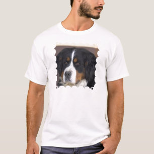 Berner Sennenhund der T - Shirt Männer