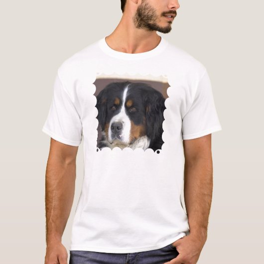Berner Sennenhund der T - Shirt Männer (Vorderseite)