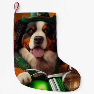 Berner Sennenhund fährt Fahrrad am St. Patrick's D Kleiner Weihnachtsstrumpf