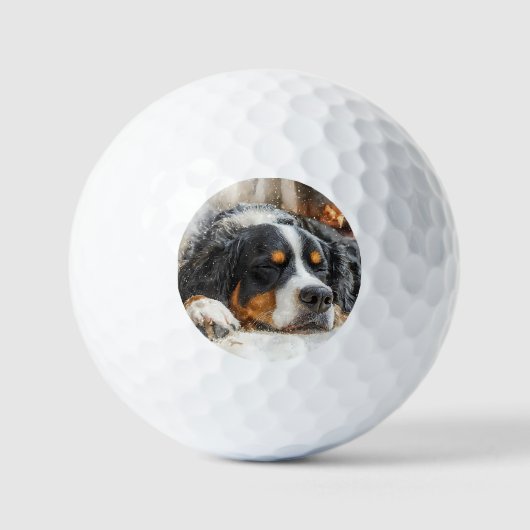 Berner Sennenhund Golfball (Vorderseite)