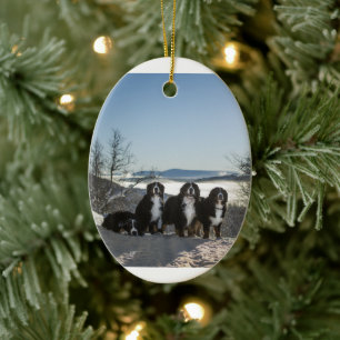 Berner Sennenhund-Gruppe Keramik Ornament