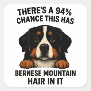 Berner Sennenhund Haar überall Lustig Quadratischer Aufkleber
