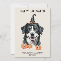 Berner Sennenhund Halloween-Karte | Hexenhut