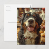 Berner Sennenhund im Cheeseburger-Laden Postkarte (Vorne/Hinten)