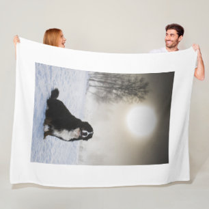 Berner Sennenhund im Schnee Fleecedecke