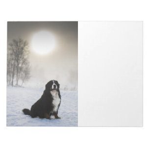 Berner Sennenhund im Schnee Notizblock