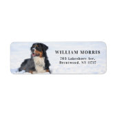 Berner Sennenhund im Schnee Rücksendeadresse (Vorne)