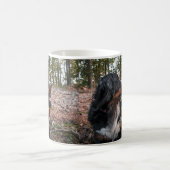 Berner Sennenhund im Wald Kaffeetasse (Mittel)